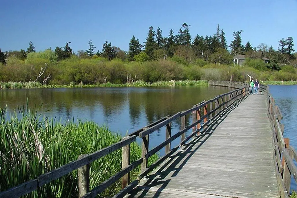 Upscale Character Home With Luxurious Amenities Victoria Kanada